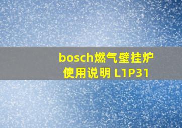 bosch燃气壁挂炉使用说明 L1P31